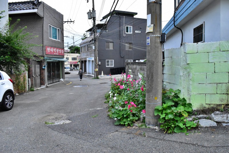 해운대 반여3동 삼어마을