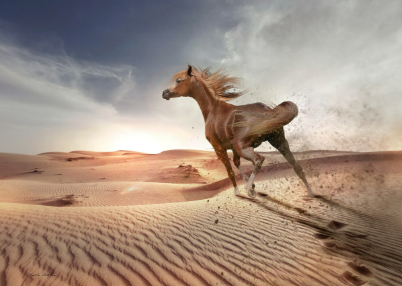 2025년 7월 말띠(생년별) 운세