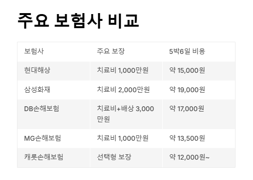여행자보험 가격비교 저렴하고 보장 좋은 상품 총정리