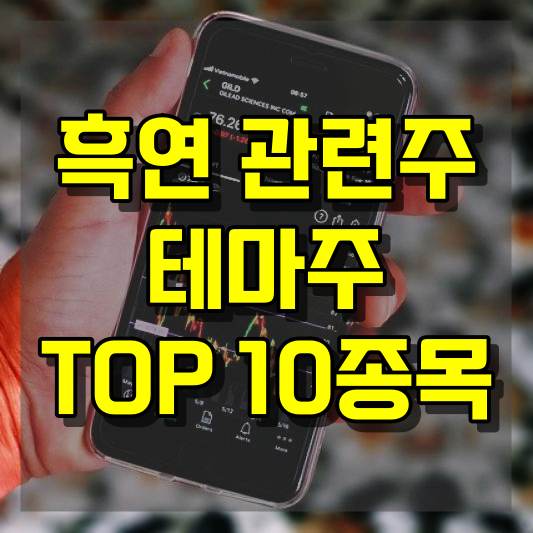 흑연 관련주 테마주 TOP 10종목