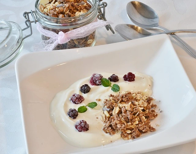 요거트-프로바이오틱스-장 건강