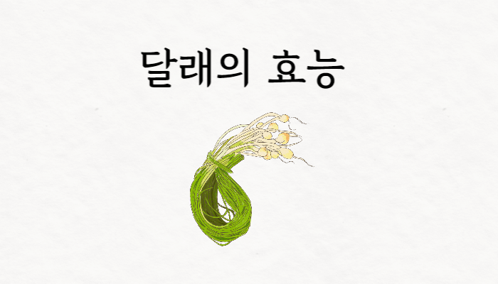 달래의 효능 썸네일