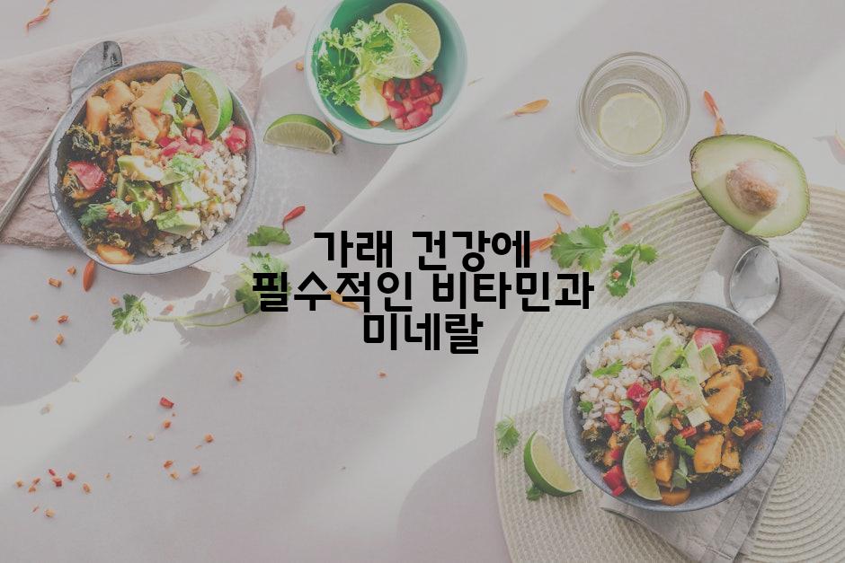 가래 건강에 필수적인 비타민과 미네랄