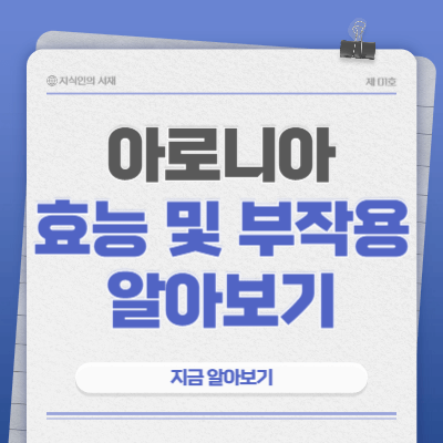 아로니아-효능-부작용-없이-먹는-법