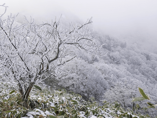 겨울 풍경의 산