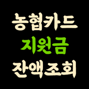 농협카드 민생지원금 잔액조회 소비쿠폰 잔액 확인 하는 법 썸네일
