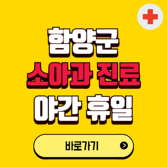 함양군 야간 소아과 진료병원 찾기 ❘ 24시 일요일 주말 연휴 응급진료 추천 잘하는 곳