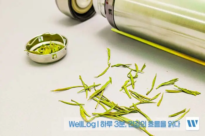 녹차 추출물 카테킨 EGCG 효능, 복용방법, 주의사항