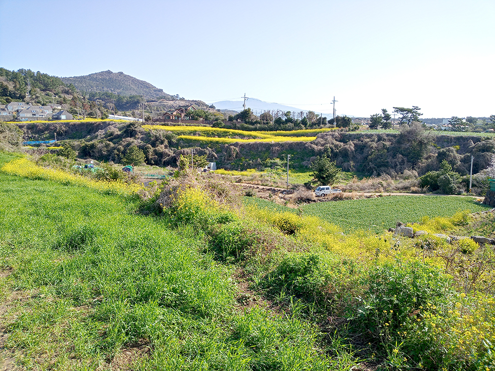 올레9코스: 난드르