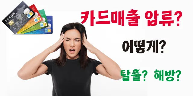 사업자카드매출압류 탈출해방