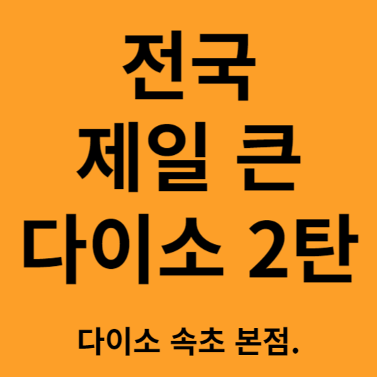 전국에서 제일 큰 다이소 2탄