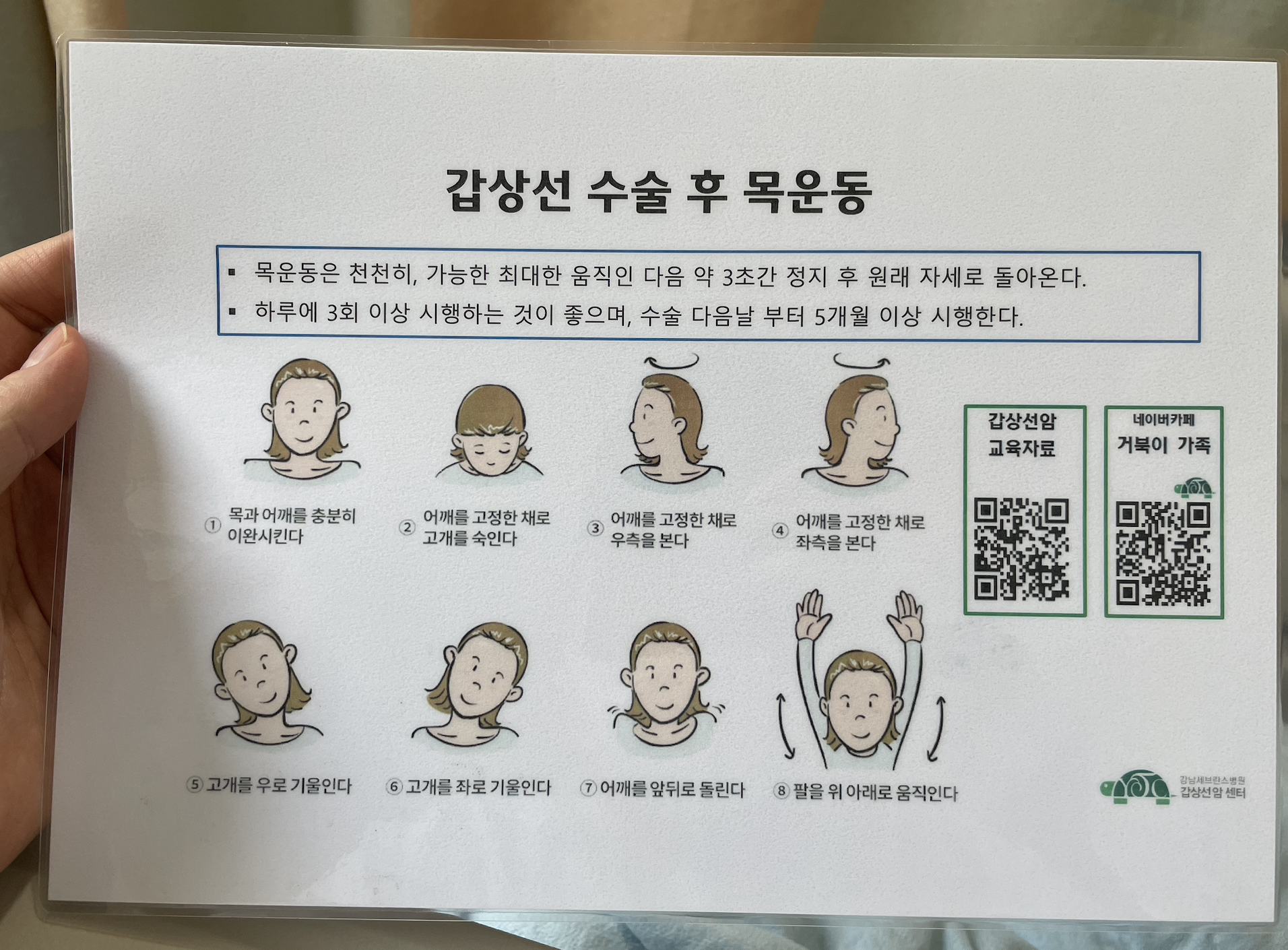 갑상선/목운동/갑상선 수술 목운동/강남세브란스
