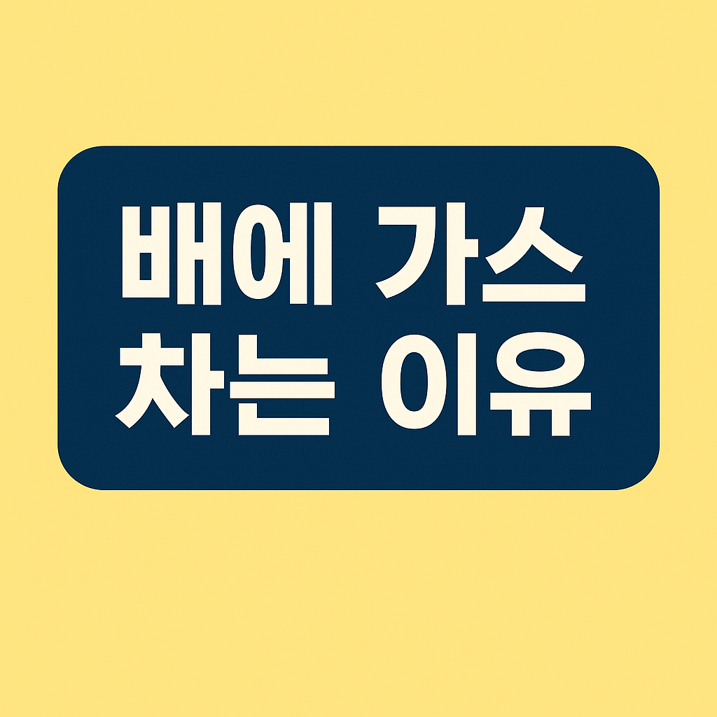 배에 가스 차는 이유