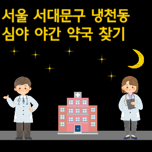 서울 서대문구 냉천동 심야 야간 24시 약국 찾기