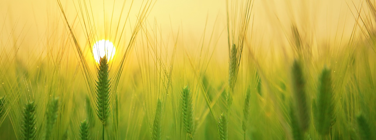 제주 서남부 섬 여행: 가파도(청보리축제) & 마라도 완전 가이드