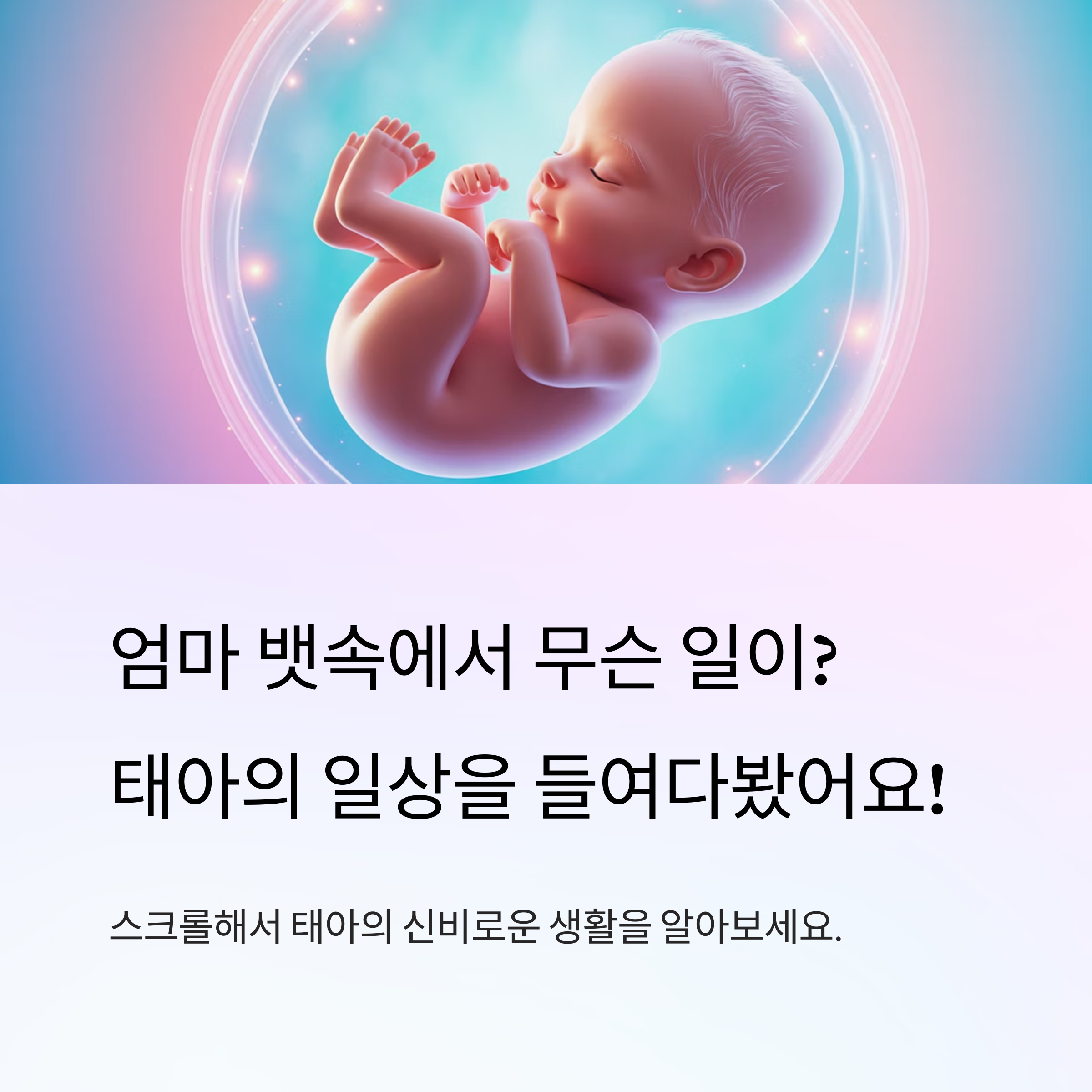 태아의 모습과 함께 엄마 뱃속 태아의 일상과 변화 소개
