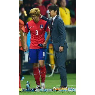 홍명보-손흥민