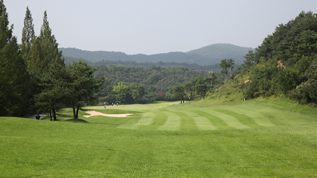 시그너스 컨트리클럽