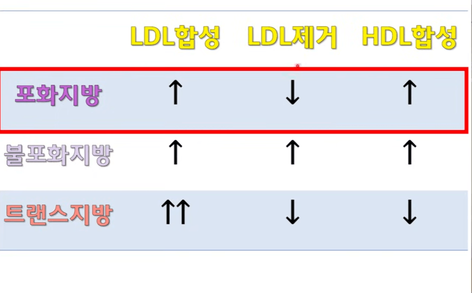 포화지방, 불포화지방, 트랜스 지방의 서로 합성기작