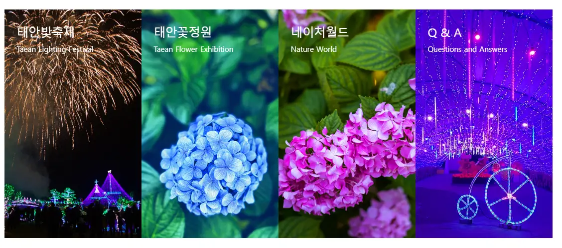 태안 빛축제 &amp; 꽃정원 포스터 사진