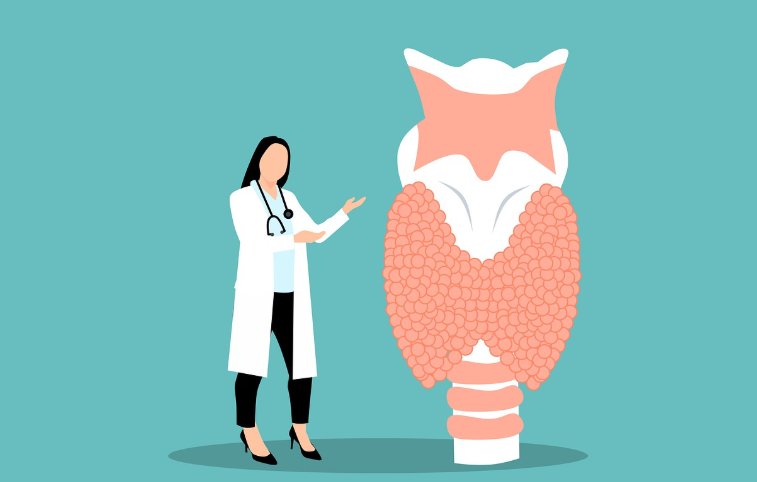 갑상선 기능을 지키는 올바른 건강 관리