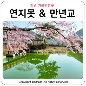 창녕 가볼만한곳 베스트10 현지인 추천 필수코스_3