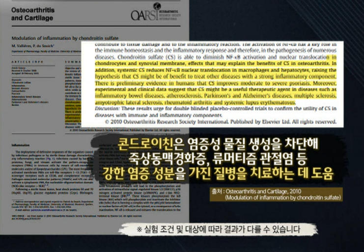 콘드로이친 효능