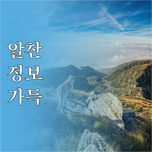 퇴사 후 실업급여? 신청 조건부터 지..