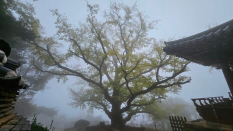 남양주 수종사 : 한강을 굽어보는 천년 사찰 하늘이 내린 최고의 전망대