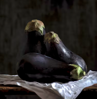 가지 효능 놀라운 9가지 부작용 고르는법 칼로리