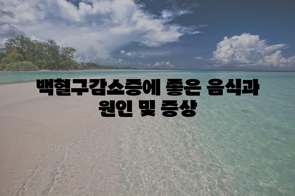 샘플 (2)