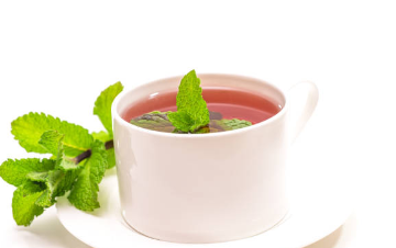페퍼민트 차
