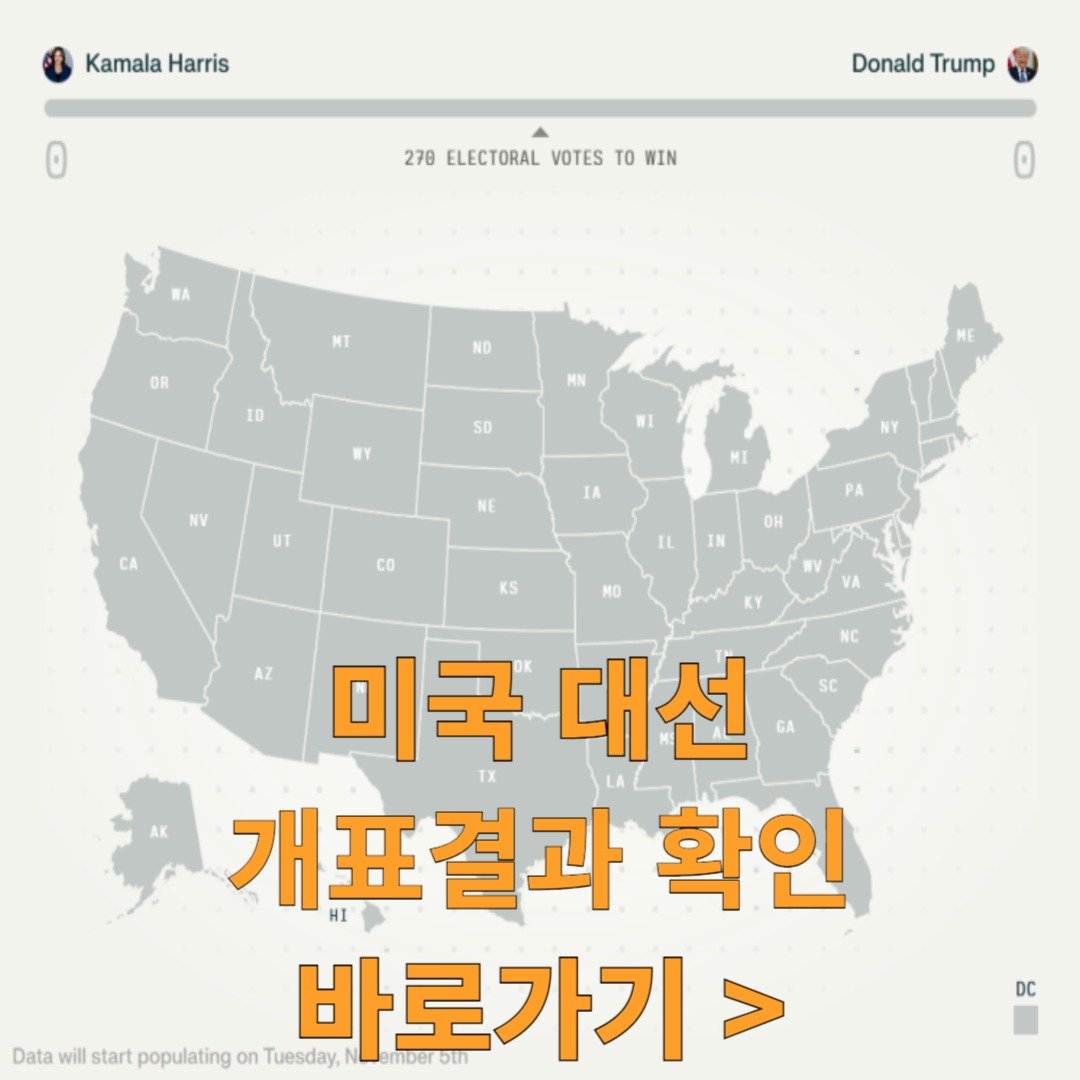 2024-미국-대통령-선거-실시간-개표-사이트