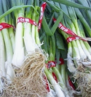 대파 효능과 부작용 고르는법