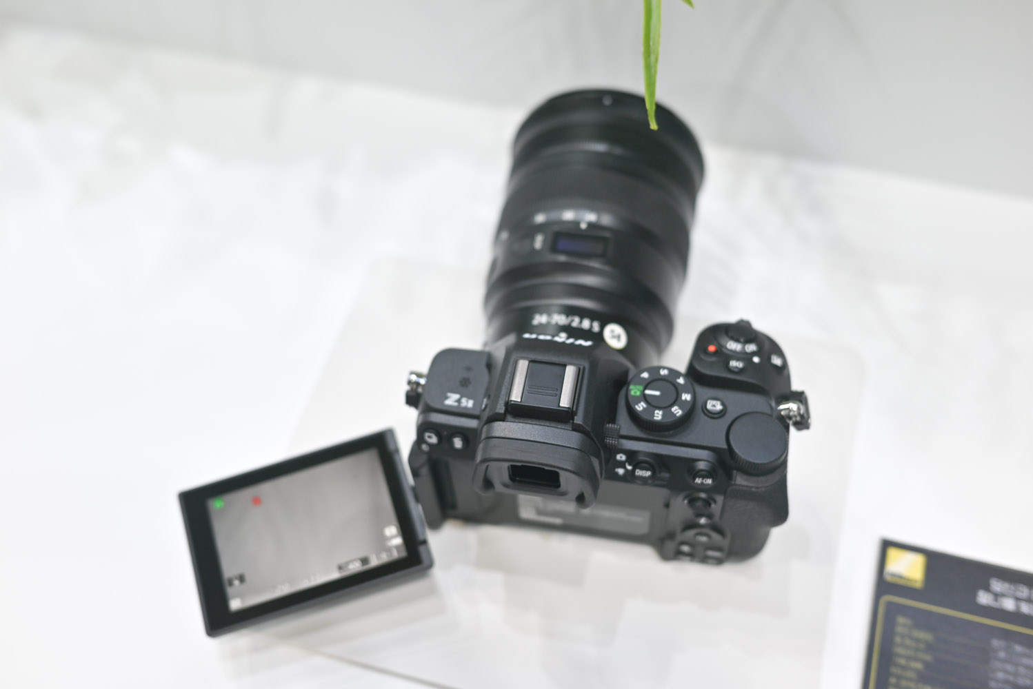 2025 코바에서 본 니콘 부스의 레드 카메라와 MRMC