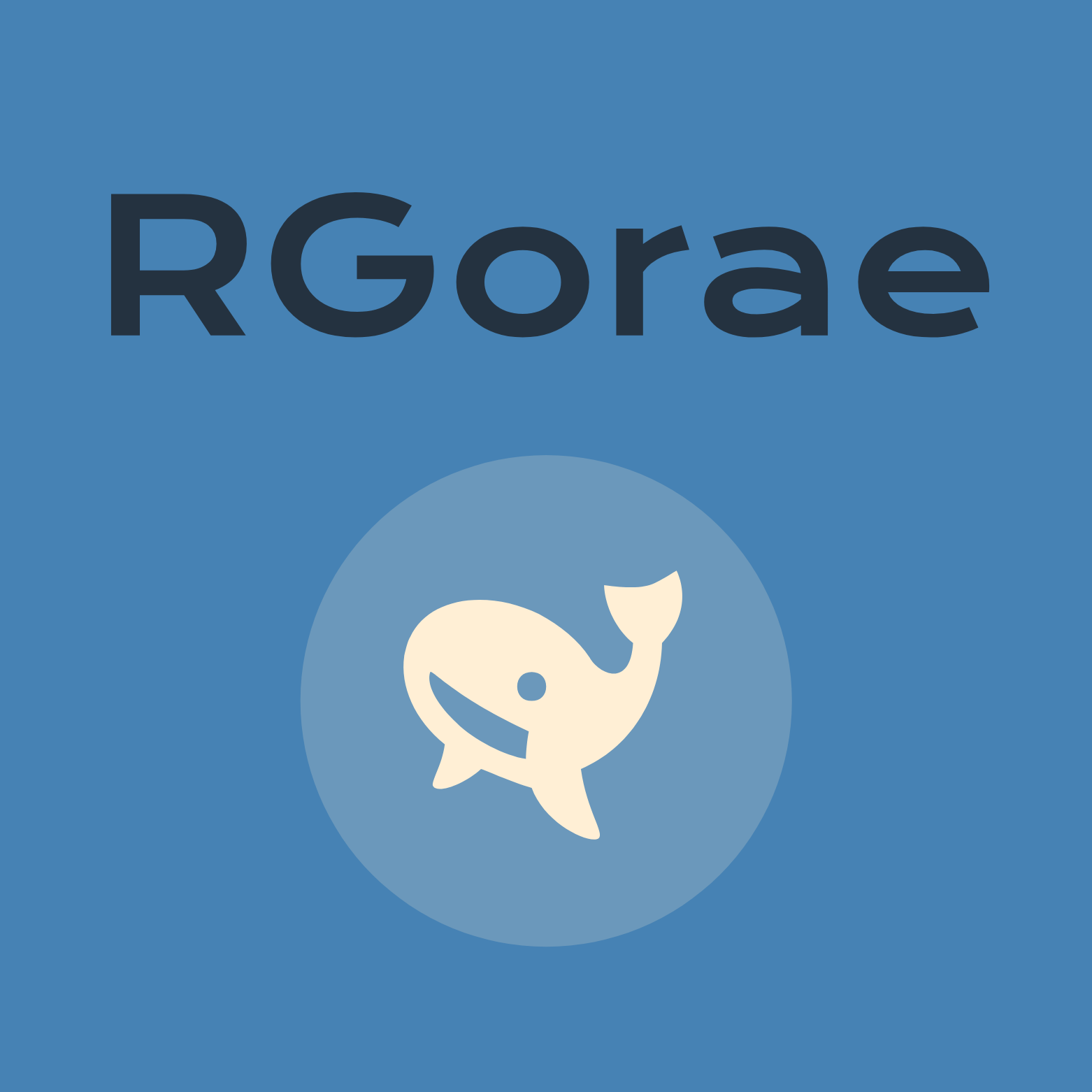 RGorae라는 이름의 의미