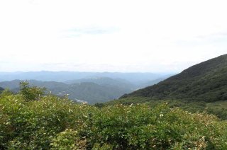 곰배령 예약하기