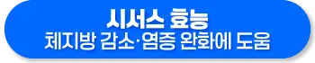 시서스 효능