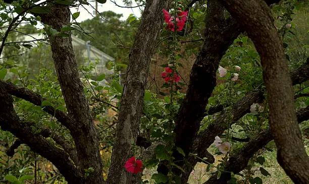 노인심리상담사 자격증 취득방법