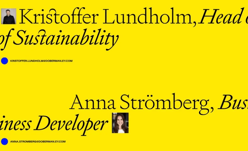 2024-font-trend-mixed-weight-typography-sample