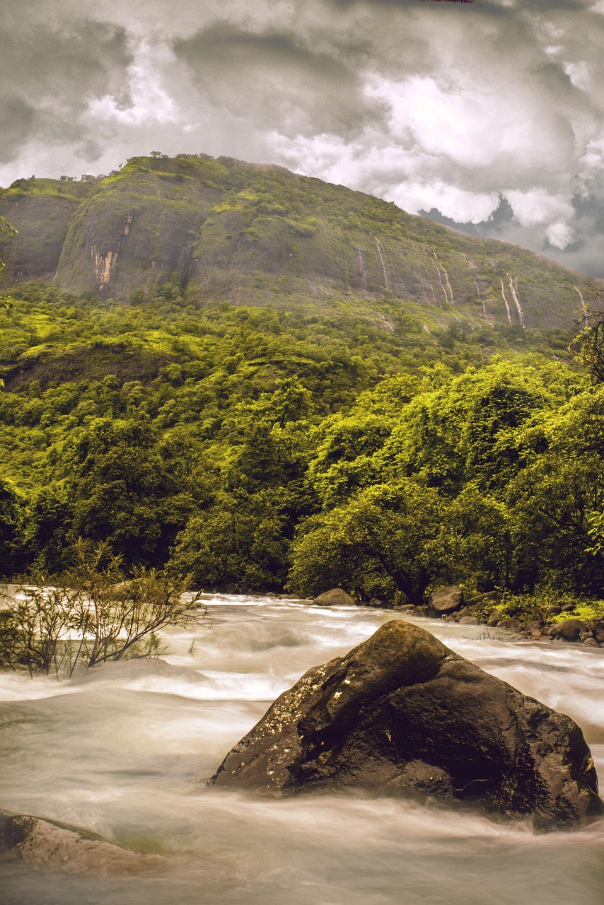 브라질 아마존 정글 투어 관련 사진