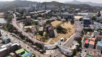 글로컬대