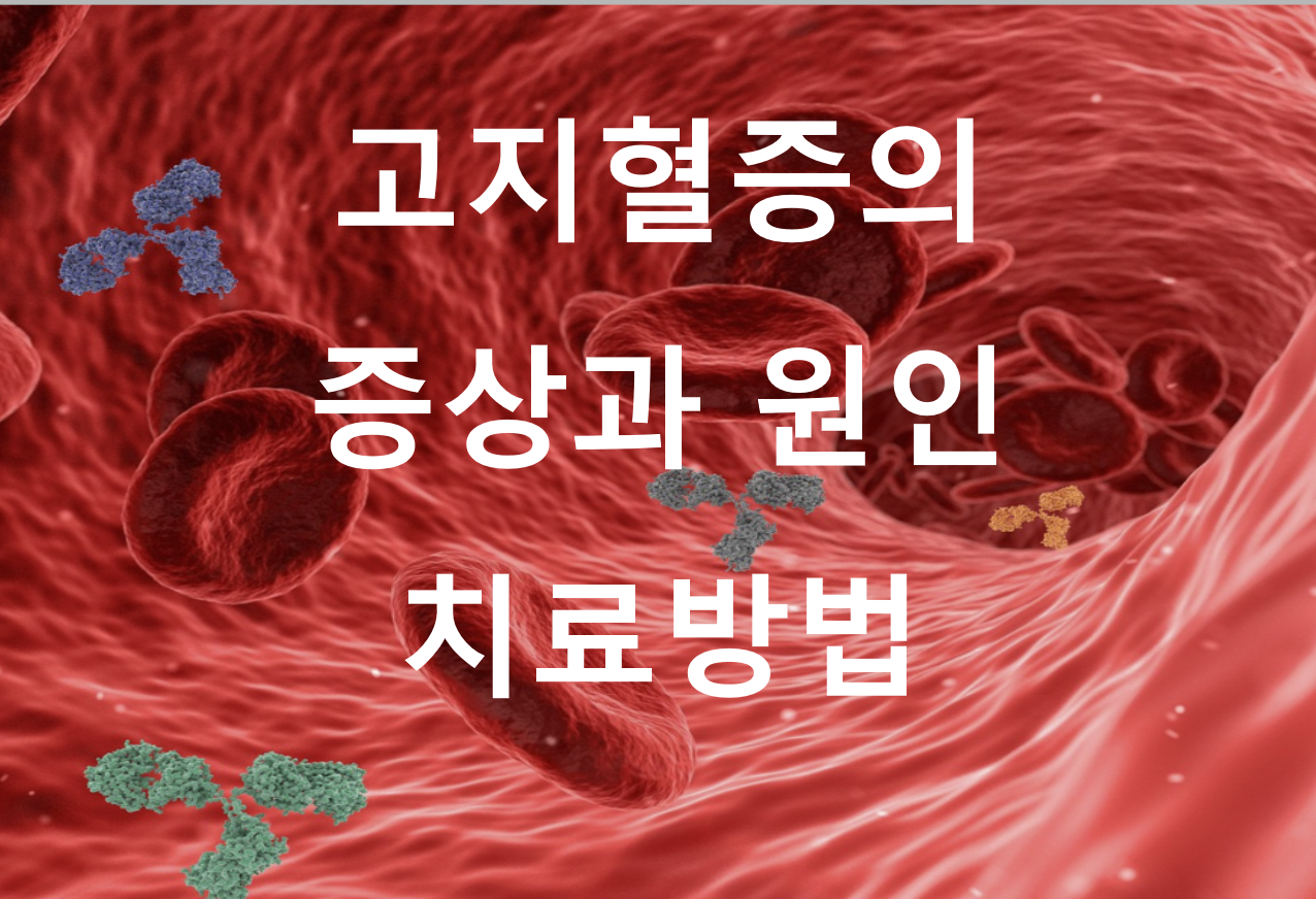고지혈증
