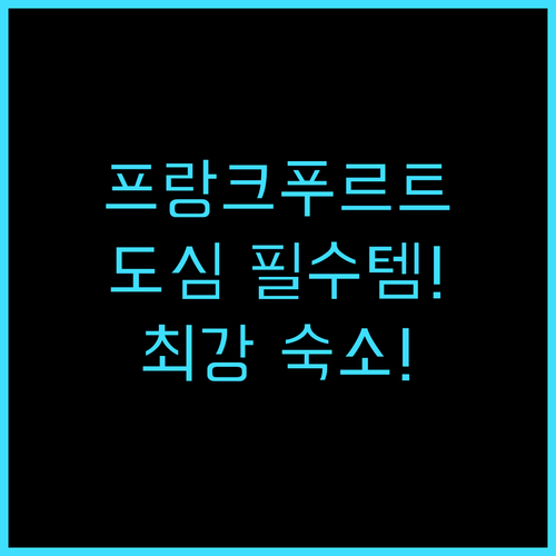 목시 프랑크푸르트 시티 센터 후기! ..