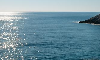 50대를 위한 디지털 노마드 창업을 상징하는 해안가 작업 공간