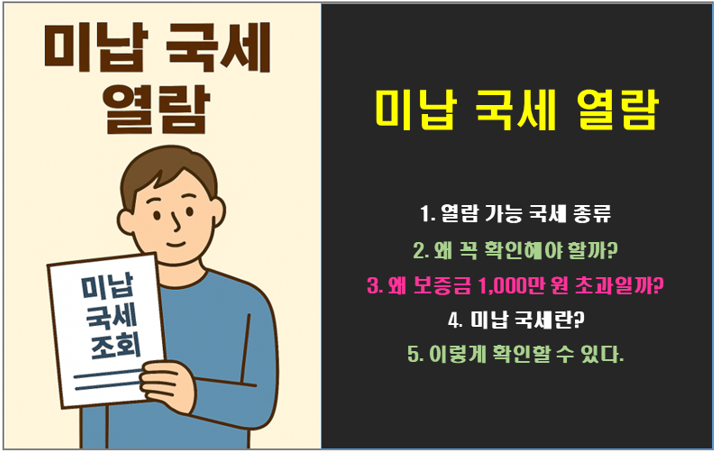 미납 국세 열람 제도 조회 왜 1,000만 원 초과일까?