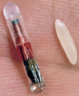 내장형 마이크로칩