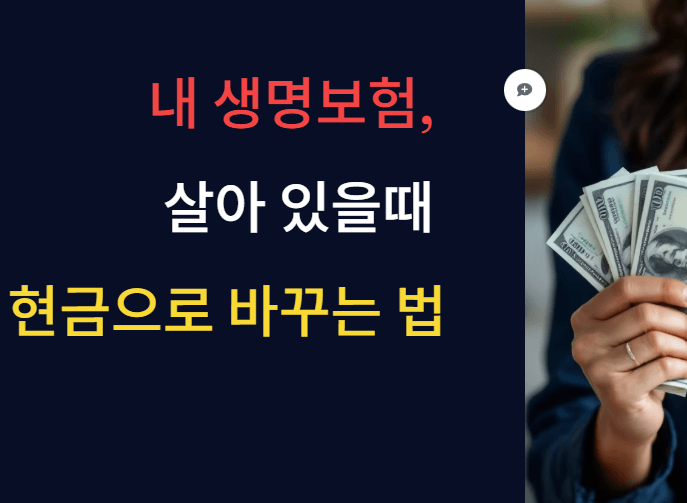 내 생명보험, 살아 있을 때 현금으로 바꾸는 법