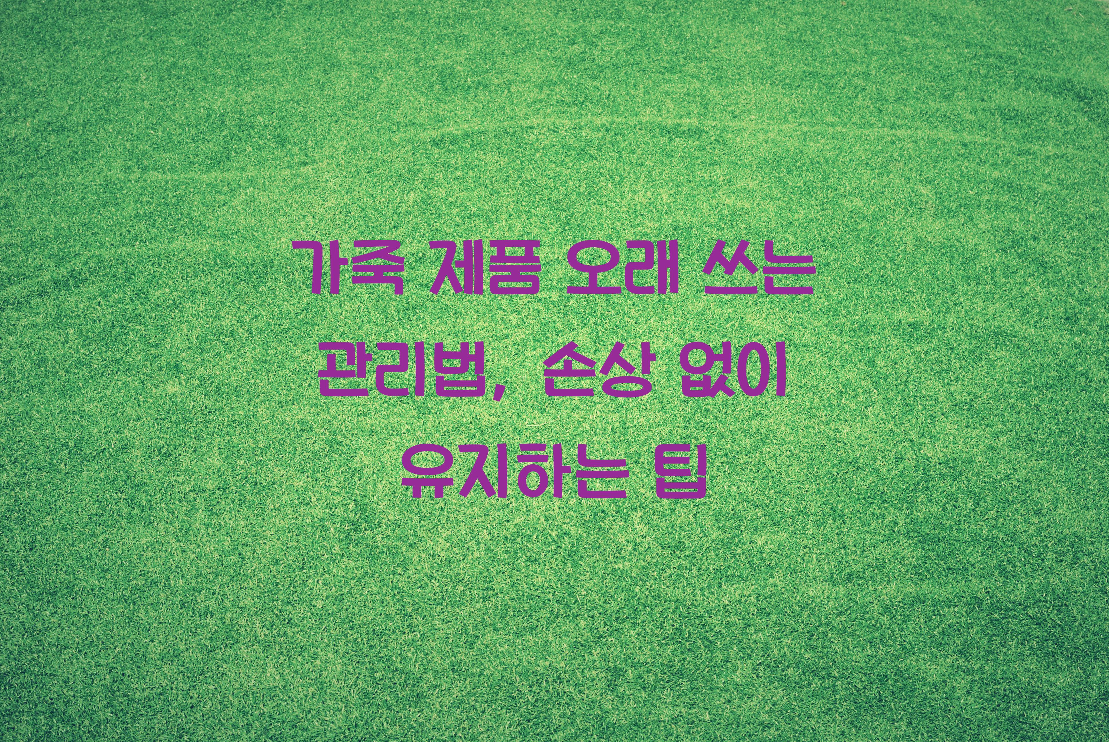 가죽 제품 오래 쓰는 관리법