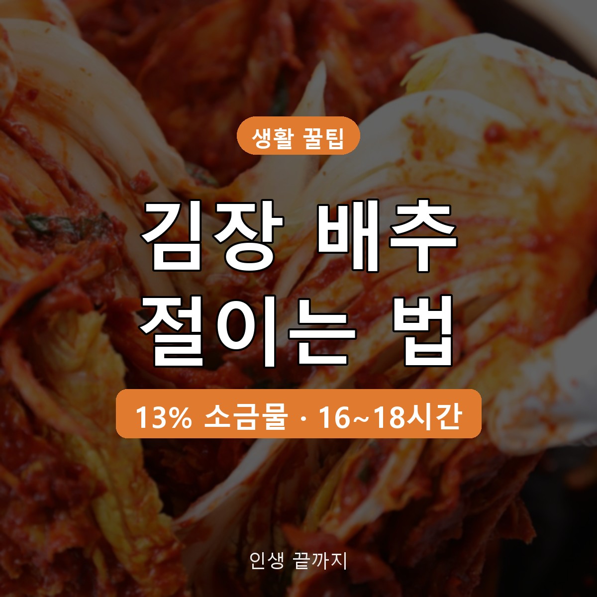 김장 배추 절이는 법 소금물 농도&middot;절이는 시간 한 번에 정리